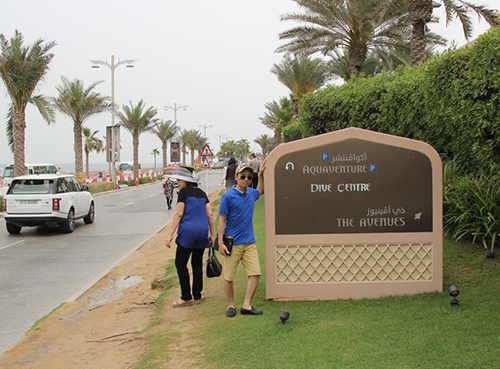 Học SEO ở đâu uy tín nhất Hải Phòng