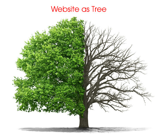 Trang Website như cái cây